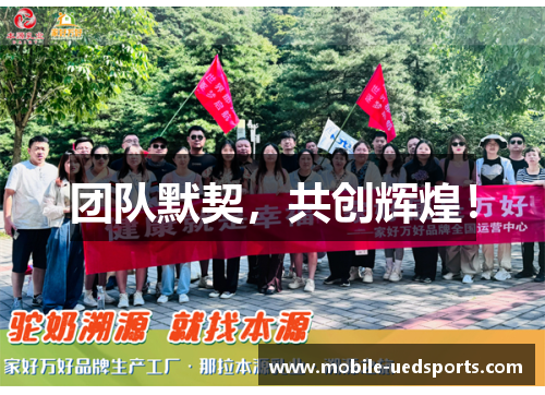 团队默契，共创辉煌！